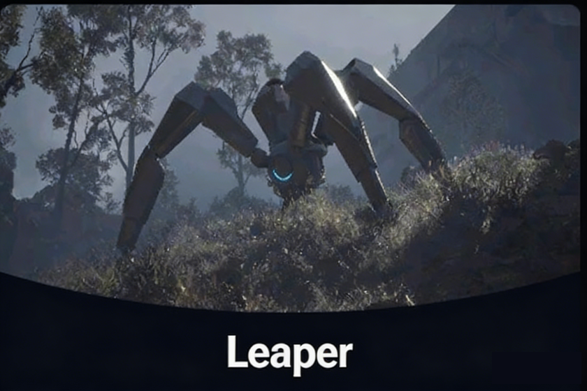 [Carry Run] Leaper
