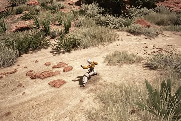 Black Desert Beginner-Friendly Awakening Mystic