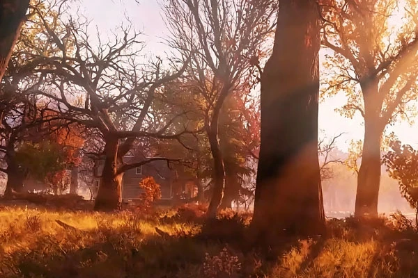 Fallout 76 How to Farm Formula P