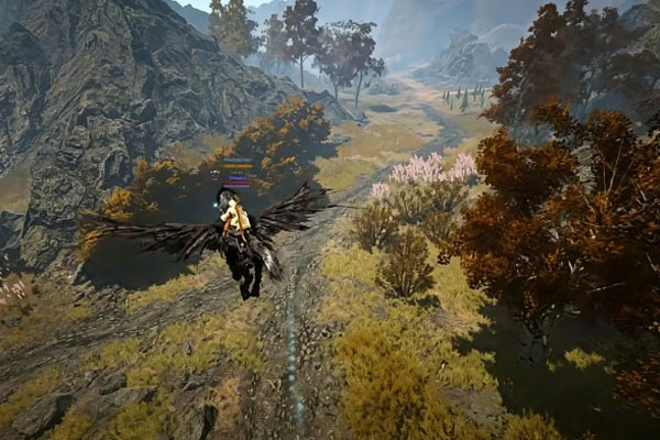 How to Get and Exchange Ekleta Accessories in Black Desert
