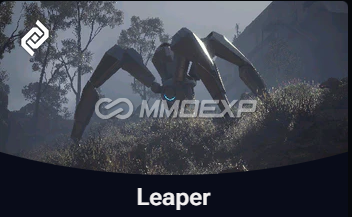 [Carry Run] Leaper