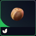 Apricot