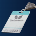 Stella Montis Security Checkpoint Key