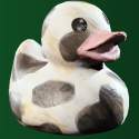 Gentle Duck