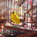 [Avian Alarm Material] Foundation 2~5