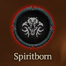 [Carry Run] Starter to Level 70+Paragon 100 : Spiritborn