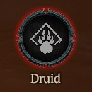 [Carry Run] Starter to Level 70+Paragon 100 : Druid
