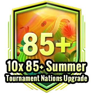 10x 85+ Summer Tournament Nations Upgrade(Repeatable:5)