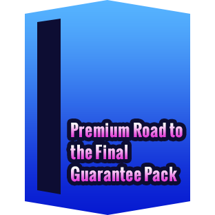 Premium Road to the Final Guarantee Pack