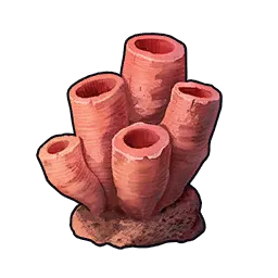 Coral Chunk *10